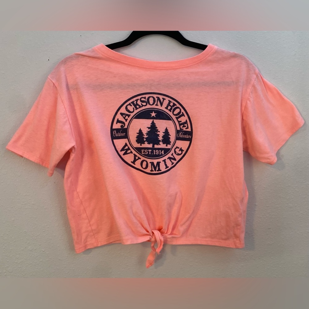Southern Spirit Pink Jackson Hole, Wy Graphic Crop Top